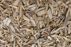 biomass boilers Carnkief